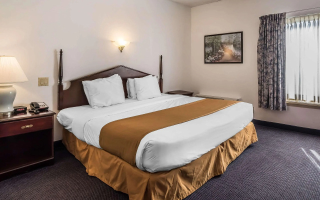 photo 4 of Quality Inn & Suites Albany Airport