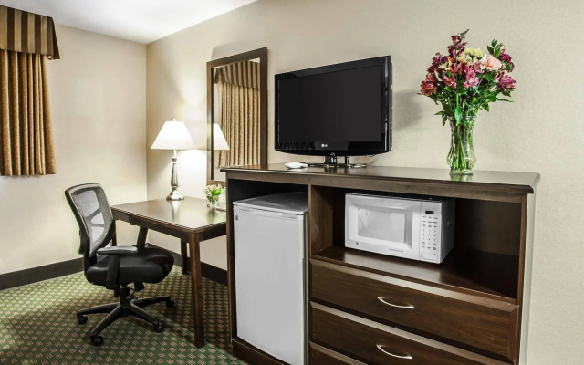 photo 4 of Quality Inn & Suites Hotel Seattle Center