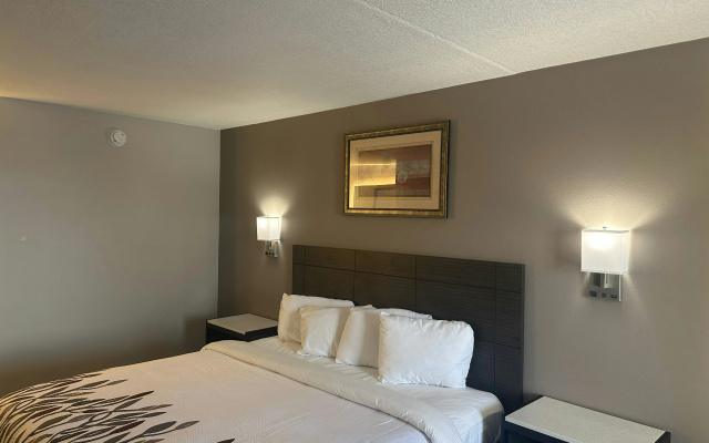 photo 2 of Red Roof Inn Media