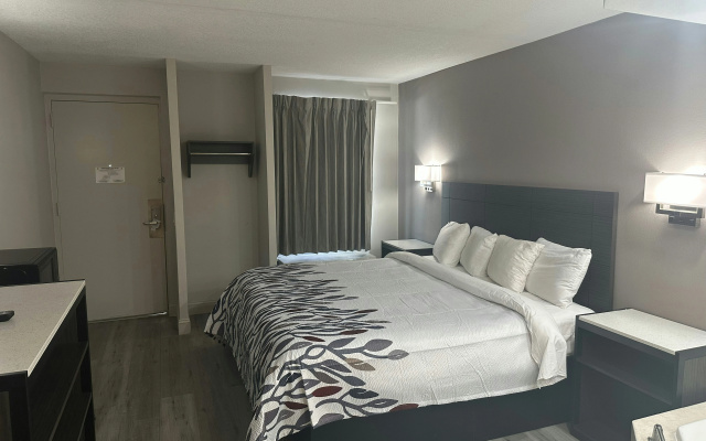 photo 5 of Red Roof Inn Media
