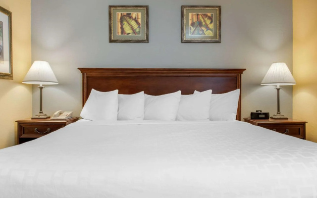 photo 4 of Quality Inn Airport