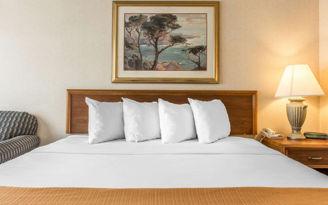 photo 3 of Quality Inn & Conference Center