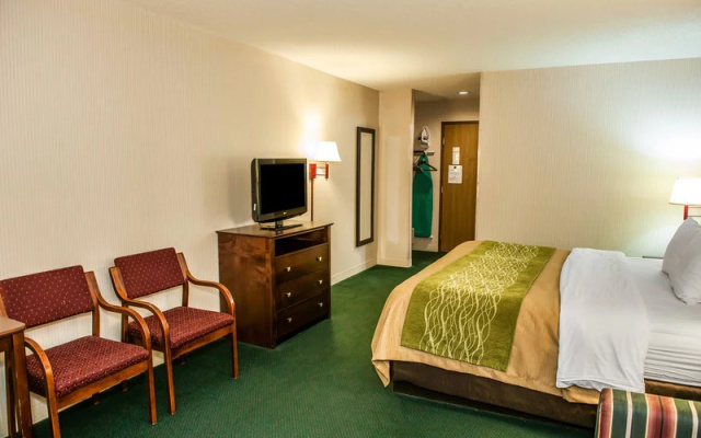 photo 5 of Quality Inn & Suites