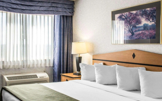 photo 4 of Quality Inn & Suites Denver Airport - Gateway Park