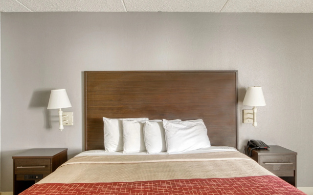 photo 5 of OYO Hotel Burlington South