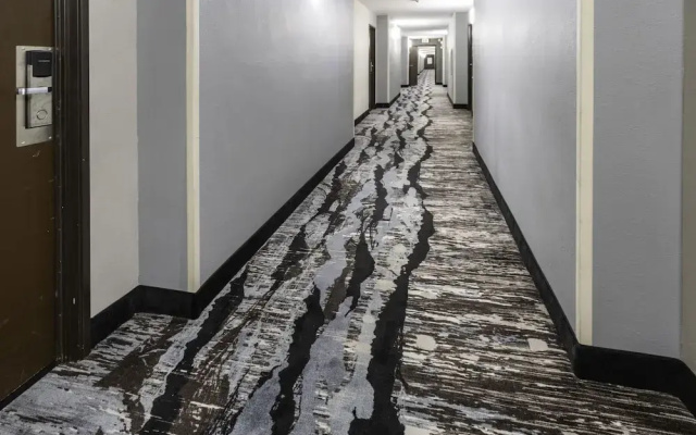 photo 4 of Quality Inn & Suites