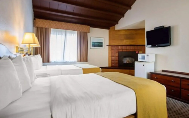 photo 3 of Arbor Inn Monterey