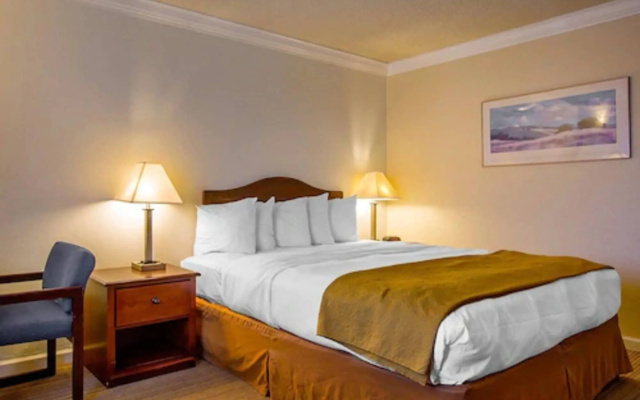 photo 5 of Arbor Inn Monterey