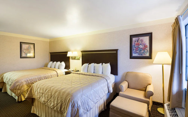 photo 5 of Comfort Inn Medical Center