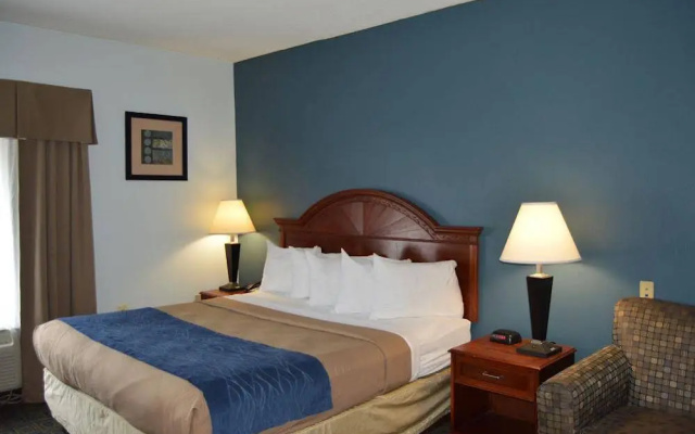 photo 2 of Comfort Inn & Suites Cincinnati Uptown Clifton