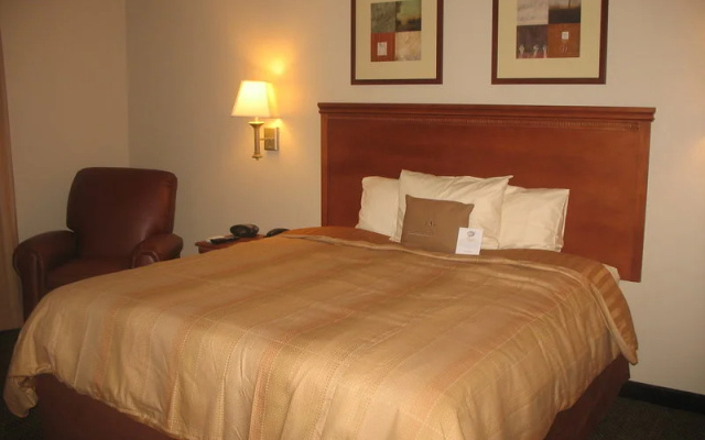 photo 2 of Quality Inn & Suites Waterloo
