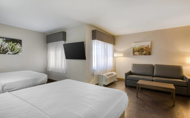 photo 4 of Best Western North Phoenix Hotel