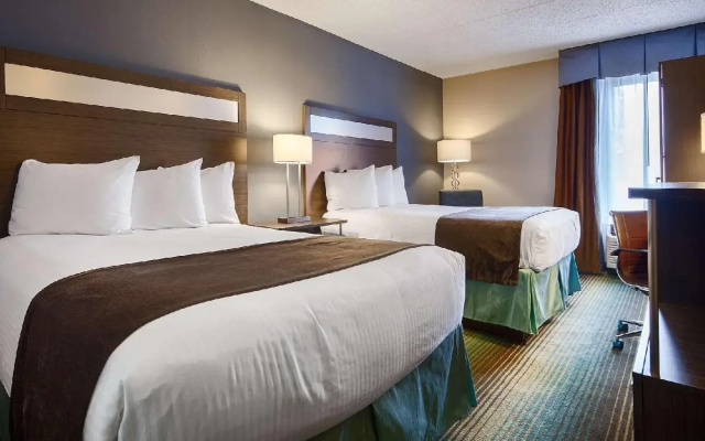 photo 4 of Best Western O'Hare/Elk Grove Hotel