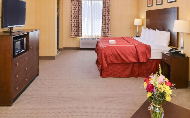 photo 3 of Quality Suites Stratford