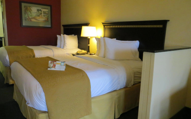 photo 4 of Mi Casa Hotel