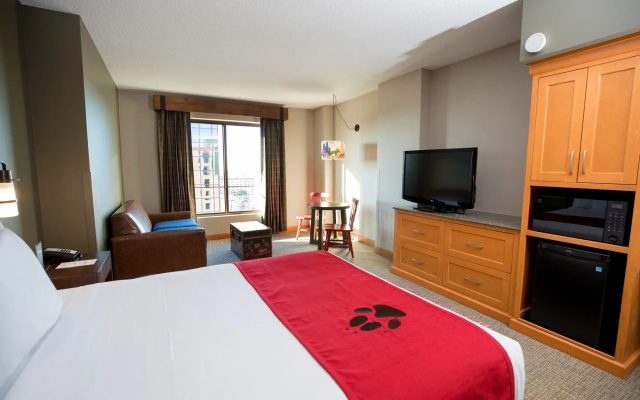 photo 4 of Great Wolf Lodge Bloomington
