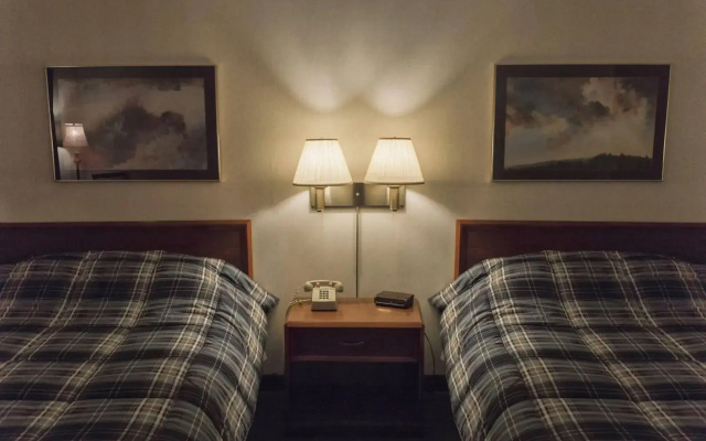 photo 4 of Rain Tree Inn