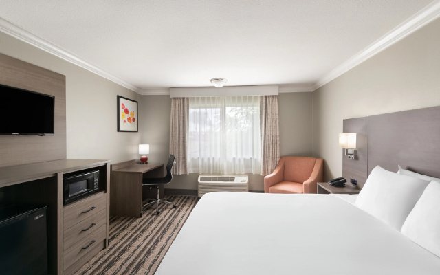 photo 4 of Solara Inn and Suites