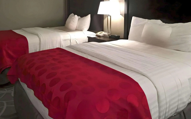 photo 3 of Clarion Inn Des Moines Airport