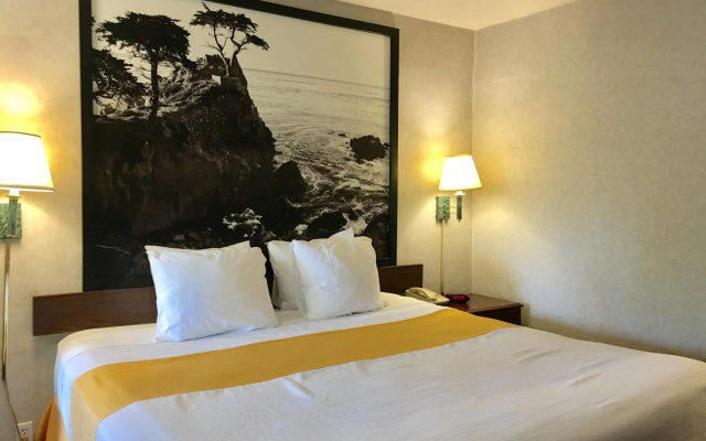 photo 4 of Pelican Inn Monterey