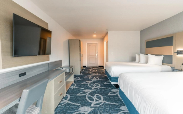 photo 4 of Hotel Aluxor SFO