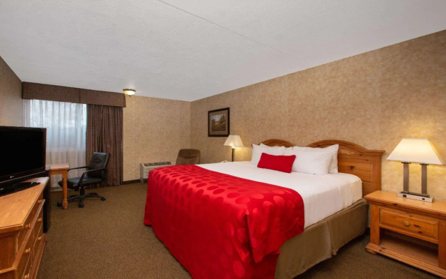photo 5 of EverSpring Inn & Suites