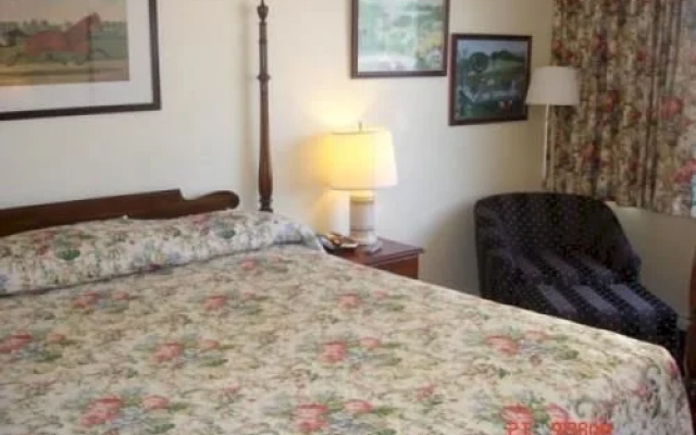 photo 4 of Red Carpet Inn & Suites Albany