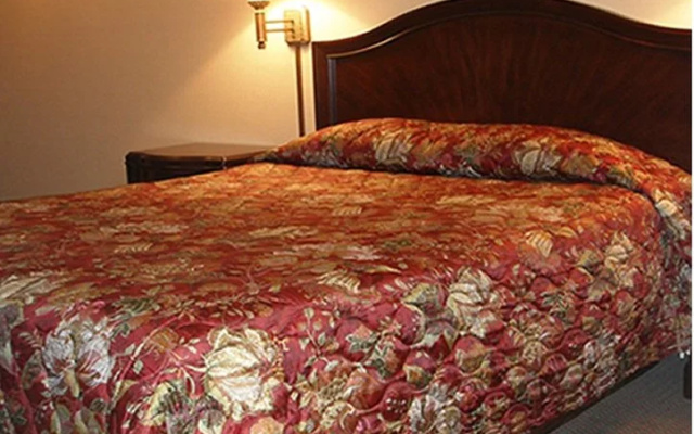 photo 4 of Red Carpet Inn Charlottesville