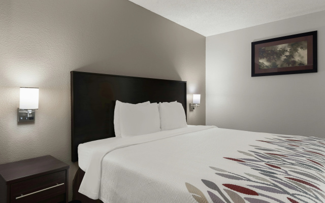 photo 3 of Red Roof Inn & Suites Savannah Airport