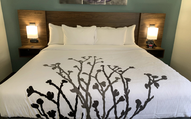 photo 3 of Sleep Inn & Suites California MD