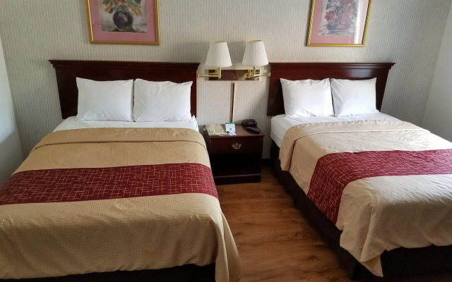 photo 3 of Red Roof Inn Las Vegas