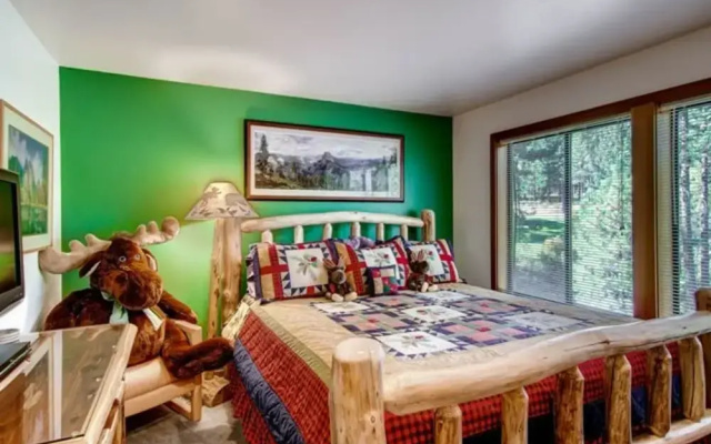 photo 5 of Skidder Trail Northstar Home