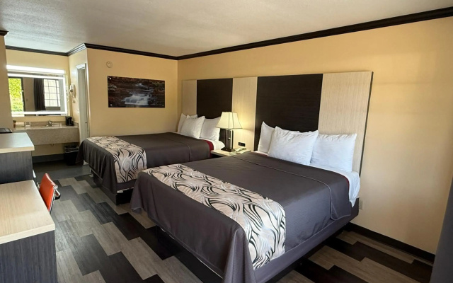 photo 3 of Regency 7 Motel