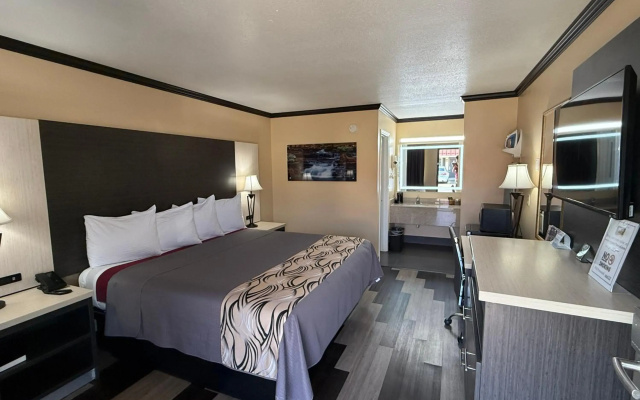 photo 4 of Regency 7 Motel