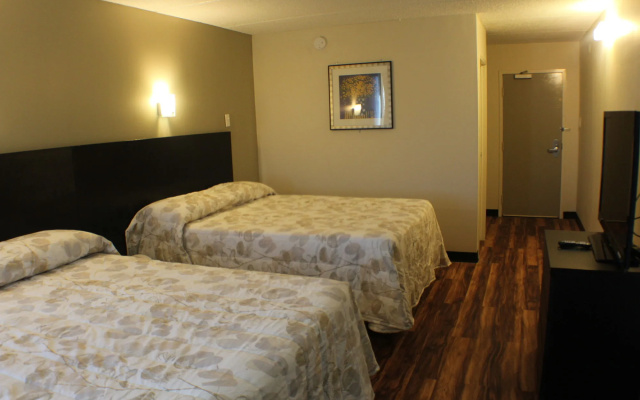photo 5 of Noble Suites