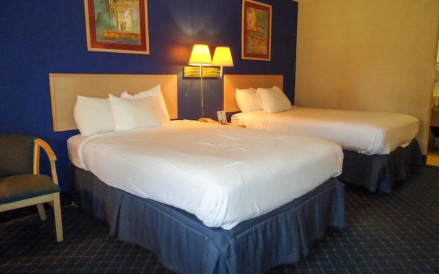 photo 5 of Dreamland Inn