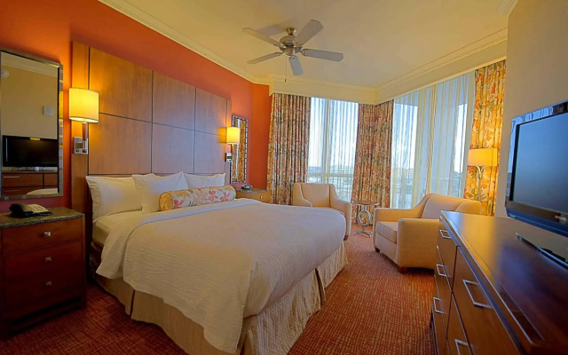 photo 5 of Residence Inn St Petersburg Treasure Island