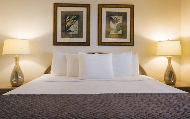 photo 5 of Resort Sixty-Six