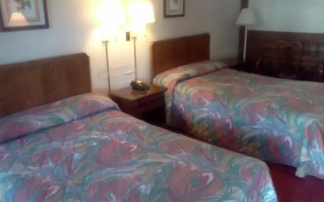 photo 3 of Rittiman Inn And Suites