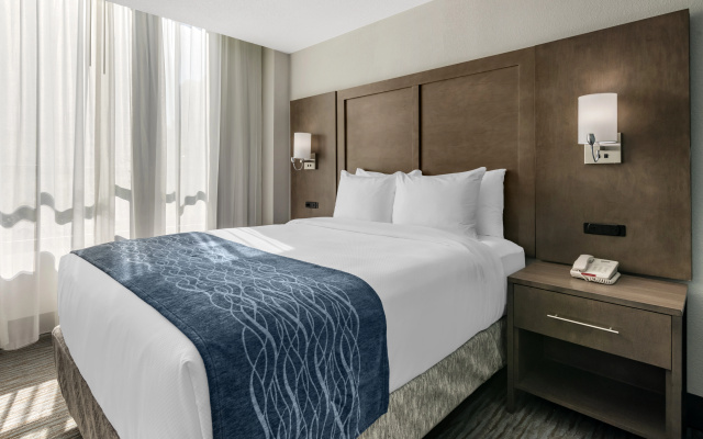 photo 3 of Comfort Inn & Suites Downtown Brickell-Port of Miami