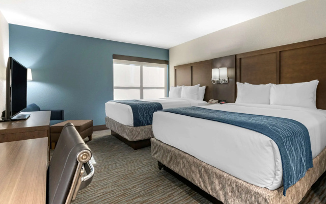 photo 4 of Comfort Inn & Suites Downtown Brickell-Port of Miami