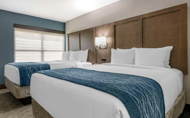 photo 5 of Comfort Inn & Suites Downtown Brickell-Port of Miami