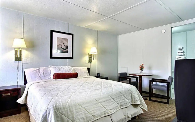 photo 3 of Rodeway Inn