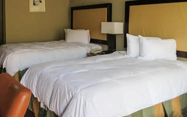 photo 3 of Rodeway Inn North Florence