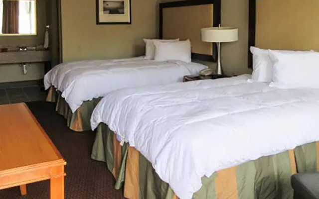 photo 4 of Rodeway Inn North Florence
