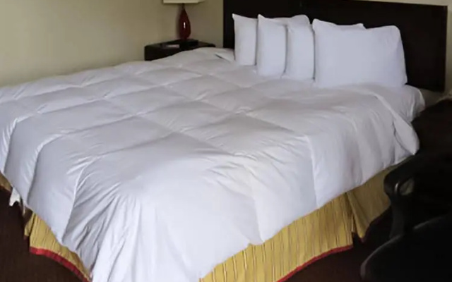 photo 5 of Rodeway Inn North Florence