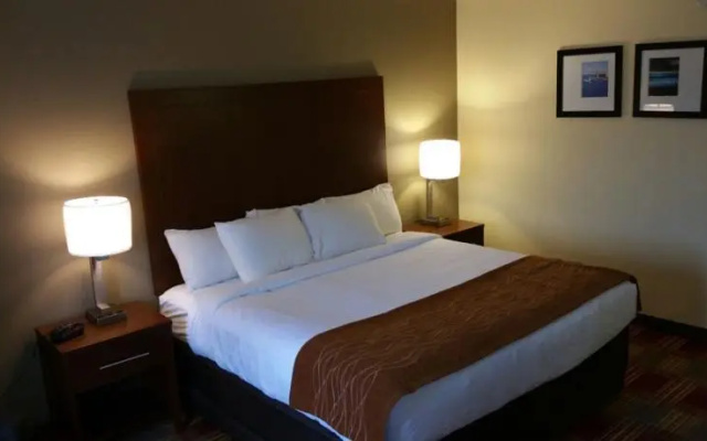 photo 3 of Rodeway Inn