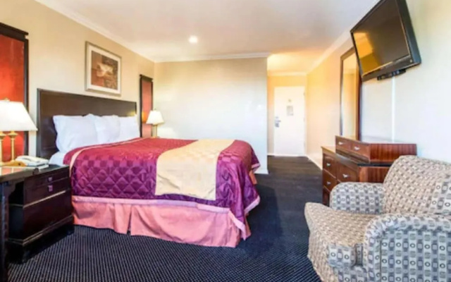 photo 3 of Queencity Inn