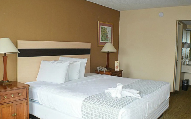 photo 3 of Roomba Inn & Suites Orlando