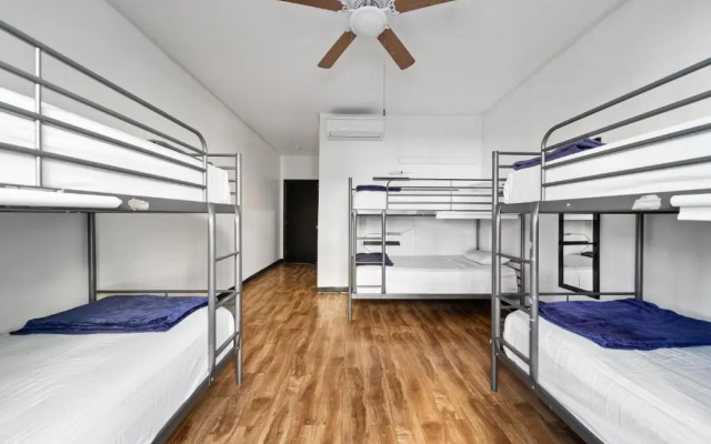 photo 5 of Samesun Hollywood - Hostel